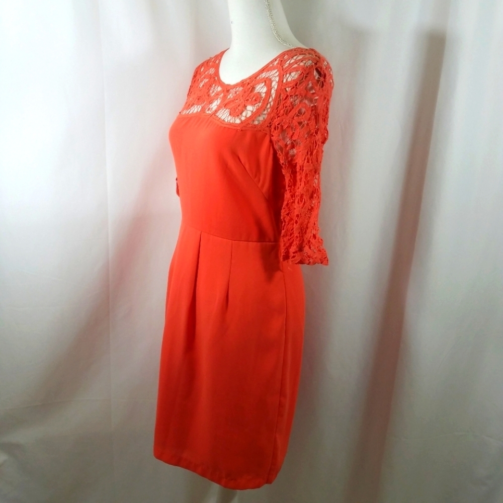 Esley Lace Sleeve Dress M NWT